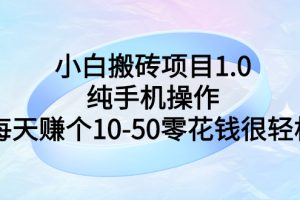 （2740期）小白搬砖项目1.0，纯手机操作，每天赚个10-50零花钱很轻松