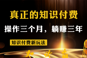 知识付费新玩法，真正的知识付费操作三个月，躺赚三年