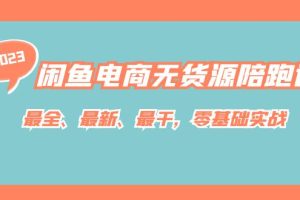 闲鱼电商无货源陪跑课，最全、最新、最干，零基础实战