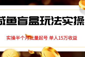 独家首发咸鱼盲盒玩法实操，半个月批量起号单人15万收益揭秘