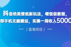 抖音绝美壁纸新玩法，喂饭级教程，一部手机无脑搬运，实操一周收入5000