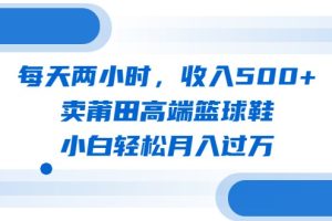 每天两小时，收入500+，卖莆田高端篮球鞋，小白轻松月入过万（教程+素材）