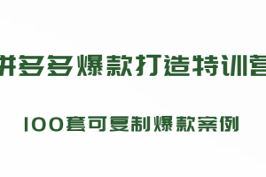 拼多多爆款打造特训营，199元*100套可复制爆款案例（持续更新中)