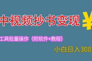 2023中视频抄书变现（附工具+教程），一天300+，特别适合新手操作的副业