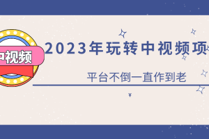 2023零基础玩转中视频项目：平台不倒，一直做到老