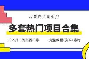 黄岛主副业多套热门项目合集：日入几十到几百不等（完整教程+资料+素材）【无水印】