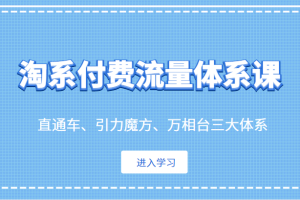 淘系付费流量体系课 直通车、引力魔方、万相台三大体系