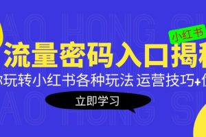 小红书流量密码入口揭秘：带你玩转小红书各种玩法 运营技巧+优化