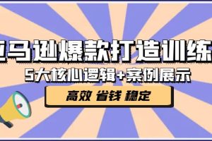 亚马逊爆款打造训练营：5大核心逻辑+案例展示 打造爆款链接 高效 省钱 稳定