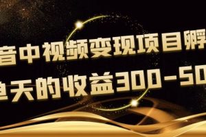 《抖音中视频变现项目孵化》单天的收益300-500 操作简单粗暴（无水印）