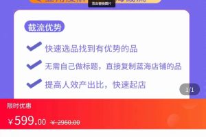 2022淘系蓝海截流玩法实操 让你选品速度更快，提高选品质量（价值599元）