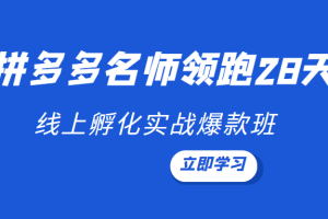 领跑2022-拼多多名师线上领跑28天，线上孵化实战爆款班（第九期）