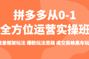 拼多多从0-1全方位运营实操班 流量框架玩法 爆款玩法思路 成交高峰黑车玩法