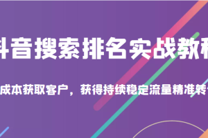 抖音搜索排名实战教程，低成本获取客户，获得持续稳定搜索流量精准转化