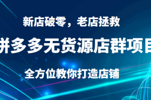 拼多多无货源店群项目，新店破零，老店拯救等全方位教你打造店铺