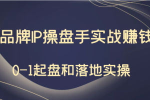 秒懂代运营：品牌IP操盘手实战赚钱，0-1起盘和落地实操（价值199元）