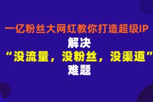 一亿粉丝大网红教你打造超级IP：解决“没流量，没粉丝，没渠道”难题