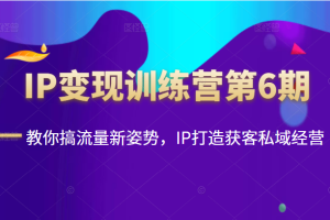 IP变现训练营第6期：教你搞流量新姿势，IP打造获客私域经营