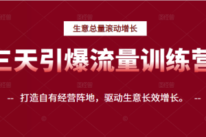 三天引爆流量训练营，打造自有经营阵地，驱动生意长效增长。