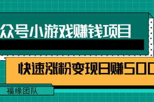 公众号小游戏赚钱玩法，快速涨粉变现日赚500+【视频课程】