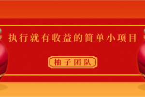 执行就有收益的简单小项目，利用信息差实现日入300+视频课程