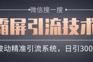 微信搜一搜霸屏引流技术，打造被动精准引流系统，轻松日引300+流量【第六课】