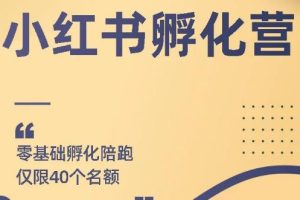 勇哥小红书撸金快速起量项目：教你如何快速起号获得曝光，做到月躺赚3000+