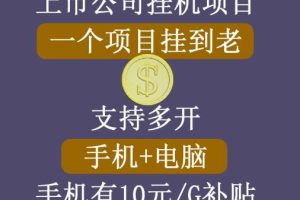 【上市公司】睿思挂机项目，一个项目挂到老，支持手机+电脑+虚拟机多开