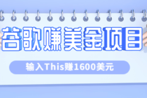 利用谷歌搜索特殊关键字赚钱项目，简单操作即可轻松赚1600+美元【视频教程】