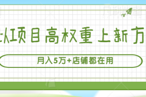 虚拟项目高权重上新方法，月入5万+店铺都在用（实战）