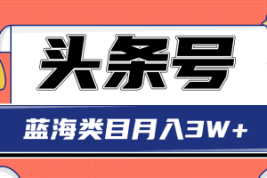 头条搬砖印刷机项目蓝海类目中视频玩法，轻松月收益3W+【视频】