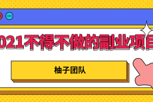 2021年不得不做的副业项目，轻松打造管道收入日赚10000+！【视频教程】