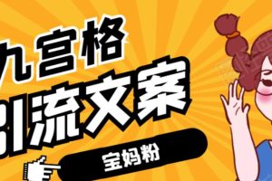 九宫格文案引流课：手把手教你快手引流精准宝妈粉【视频课程】