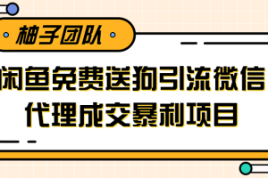 利用闲鱼免费送暴力吸粉，引流到微信代理成交暴利项目【视频课程】