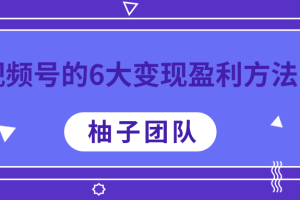 视频号的6大变现盈利方法，每一种做到极致都能年赚100W+【视频课程】