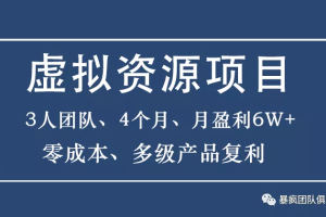 暴疯团队虚拟资源项目，3人团队，4个月，月盈利6W+，高客单价、多产品复利