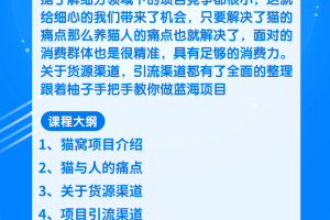 柚子团队内部课程：适合新手操作的细分蓝海项目，宠物赚钱的门道