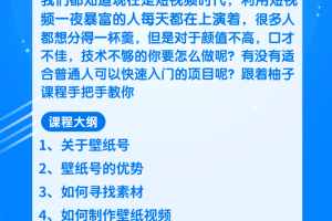 柚子团队内部课程：人人都可以操作短视频的项目，简单的副业月增收3000+