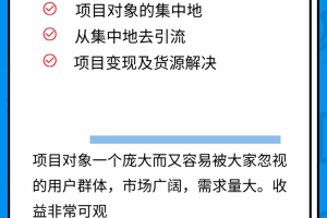 柚子团队课程：一个捞偏门的小项目，轻松实现日赚1000+