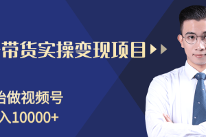 柚子分享课：微信视频号变现攻略，新手零基础轻松日赚千元【视频课程】