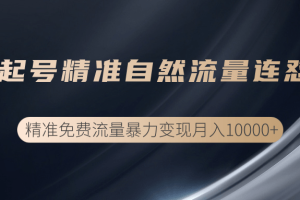 垂直起号精准自然流量连爆玩法，精准引流暴力变现月入10000+【视频教程】