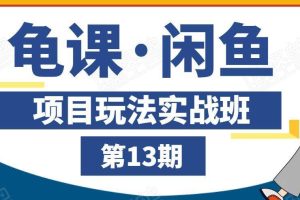 龟课·闲鱼项目玩法实战班第13期，轻松玩转闲鱼，多渠道多方法引流到私域流量池！