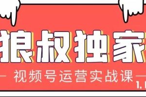 狼叔视频号运营实战课，带你深度入手微信视频号1.0，从0粉丝开始快速涨粉变现