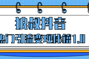 狼叔抖音热门引流变现秘籍1.0，人人都可以捞金的项目，让你的视频曝光10W+