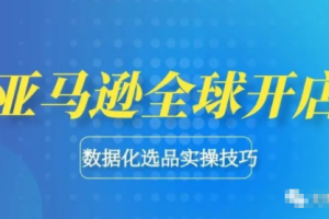 亚马逊全球开店数据化选品实操技巧，驱动新品爆款打造（价值399元）