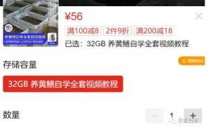 东哲日记：全网首创实物虚拟电商项目，速来捡钱，成本低，一单赚几十块！