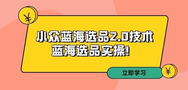 拼多多培训第33期：小众蓝海选品2.0技术-蓝海选品实操！