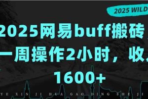（15666期）2025网易buff搬砖，一周操作2小时，收入1600+