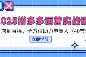 （14259期）2025拼多多运营实战课，从开店到直播，全方位助力电商人（40节课）