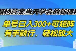 （14246期）照抄答案当天学会的新项目，单号日入300 +可矩阵，有手就行，轻松放大